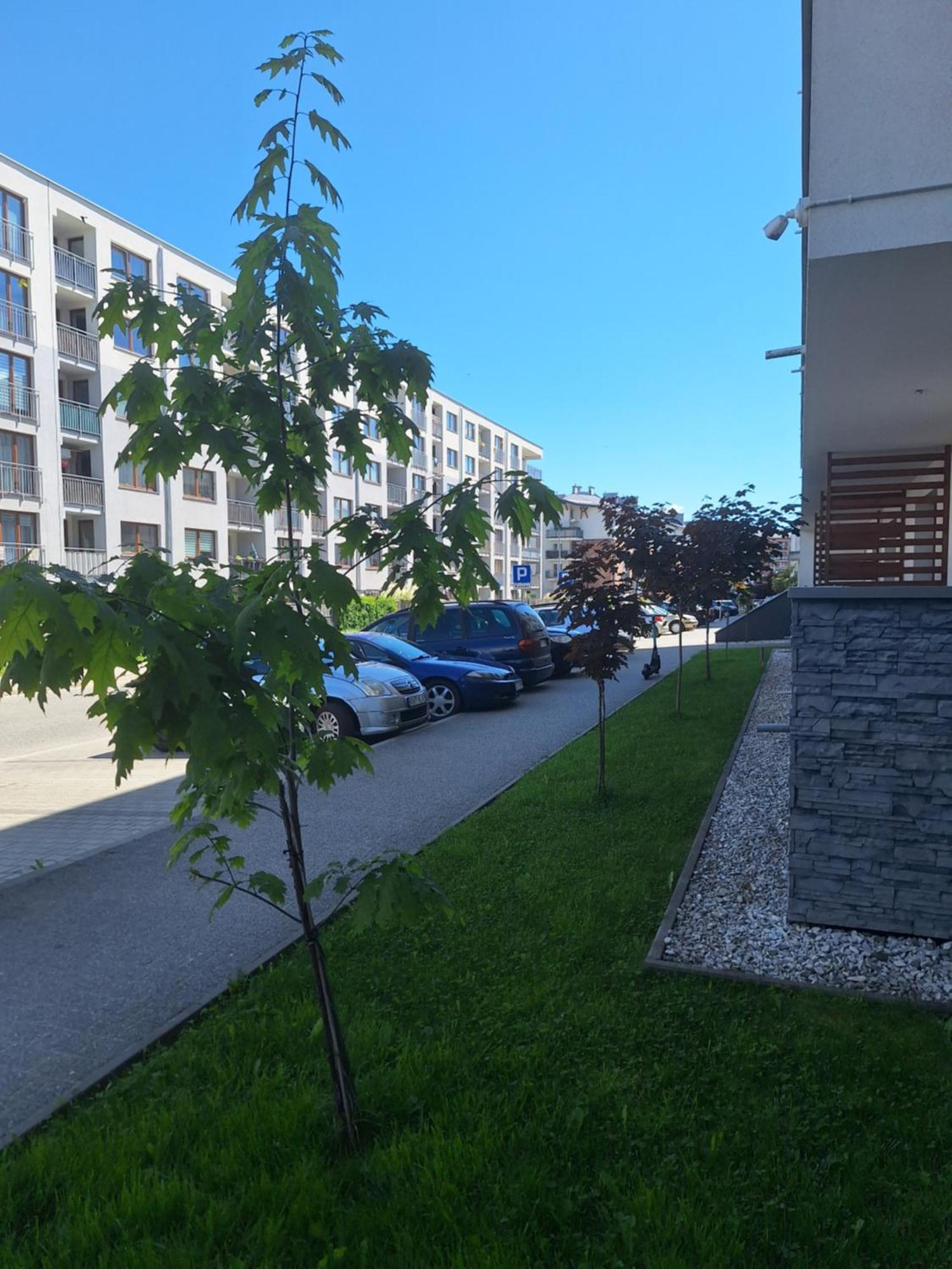 Apartament Gorska Szarotka Nowy Targ Exterior photo